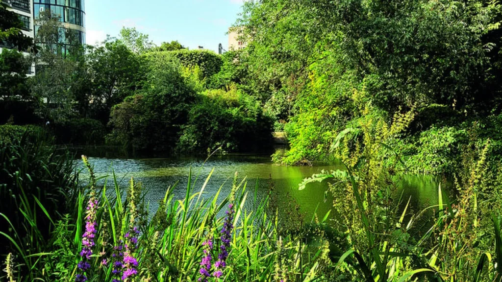 À seulement 15 minutes de marche les Jardins Botaniques de Bruxelles offrent une échappée verdoyante avec une flore vibrante, des étangs tranquilles et des événements culturels au cœur de la beauté urbaine.